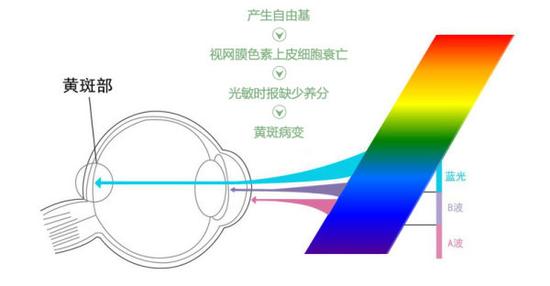 真能亮瞎眼？如何減少手機(jī)對眼睛的傷害