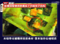 禾綠壽司被曝用變質食材 餿米飯炒后繼續(xù)賣