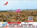 新修馬路種黃豆  如此做法為哪般？