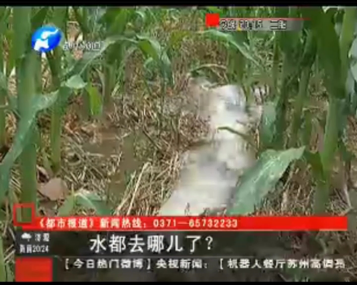水都去哪了？