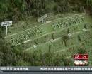 “垃圾場”拍婚紗：玩噱頭還是做環(huán)保？