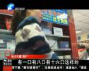 是誰(shuí)在制造垃圾短信