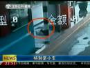 高速邊苦等十三天 主人你在哪里？