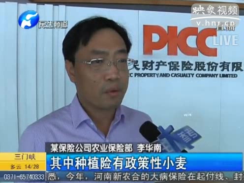 冰雹惹禍 損失能索賠嗎？