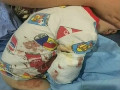 猛獸出沒 注意！2歲男童在動(dòng)物園被白虎咬掉右臂
