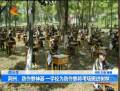 一學(xué)校為防作弊將考場搬進樹林