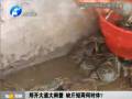 鄭開大道大閘蟹 缺斤短兩何時(shí)休？