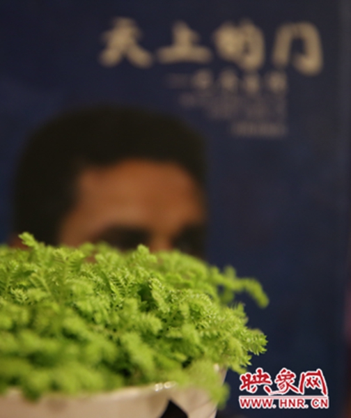 書架上精心布置的綠色植物。